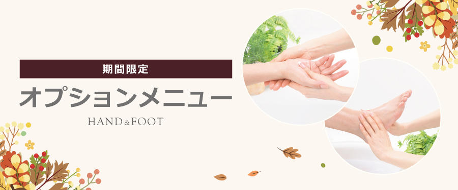 【期間限定】9月からのオプションメニュー
