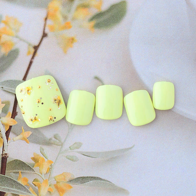 <center>【FOOT】キュンと甘酸っぱいシトロンクリームに押し花を散らして<br>(L03-L14)</center>